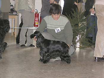 SABINA Z VEJMINKU