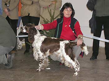 CYBEL DE SYRINGA