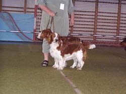 05_pary_01