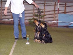 05_pary_02