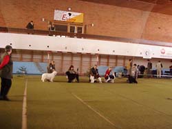 06_bob_05