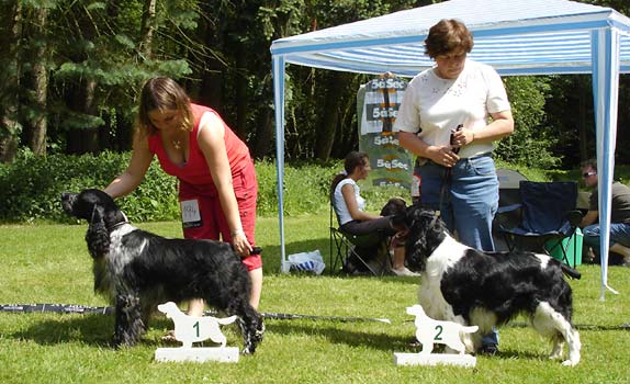 VD1 Aran od Stroupinského potoka, VD2 Victorious Wind Darrem Canis