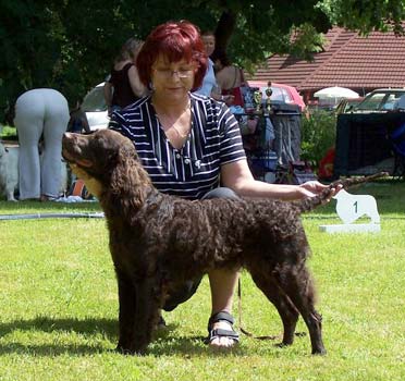 V1, CAC, KV Claudia Schiffer z Rajšlu