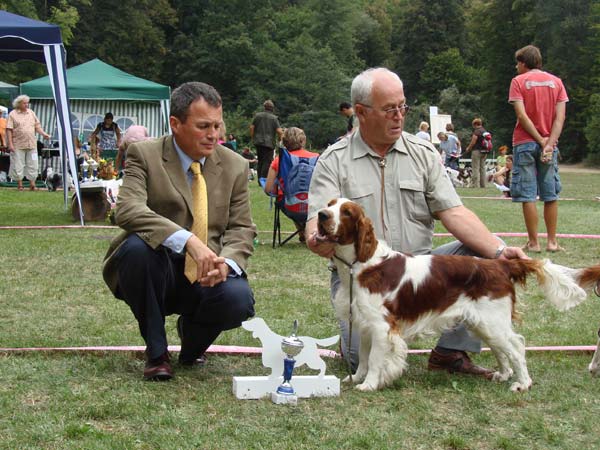 Noor Twigle V1, CAJC, BOB, BIS JUNIOR, BIS II.