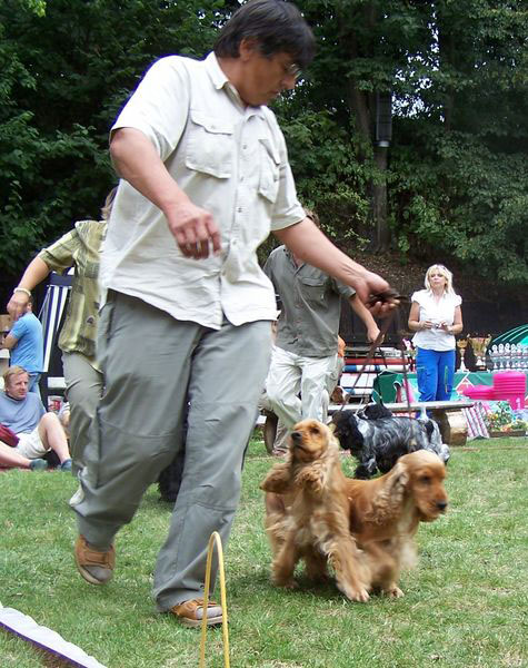 155