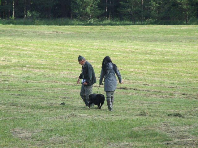 271