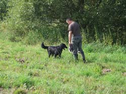 4841
