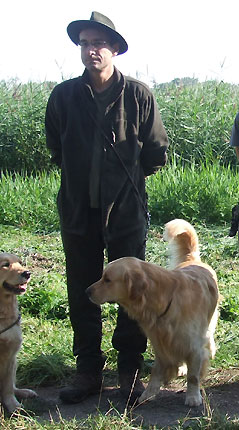 GR Benji Golden Sirius
