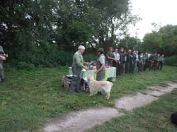 4463