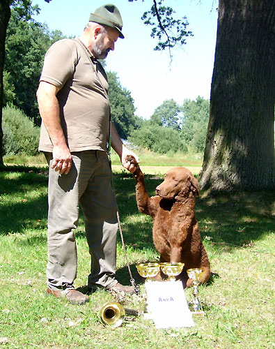 CBR Chesabar Josef Vici Luka