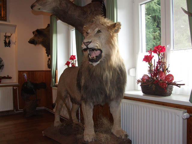 161
